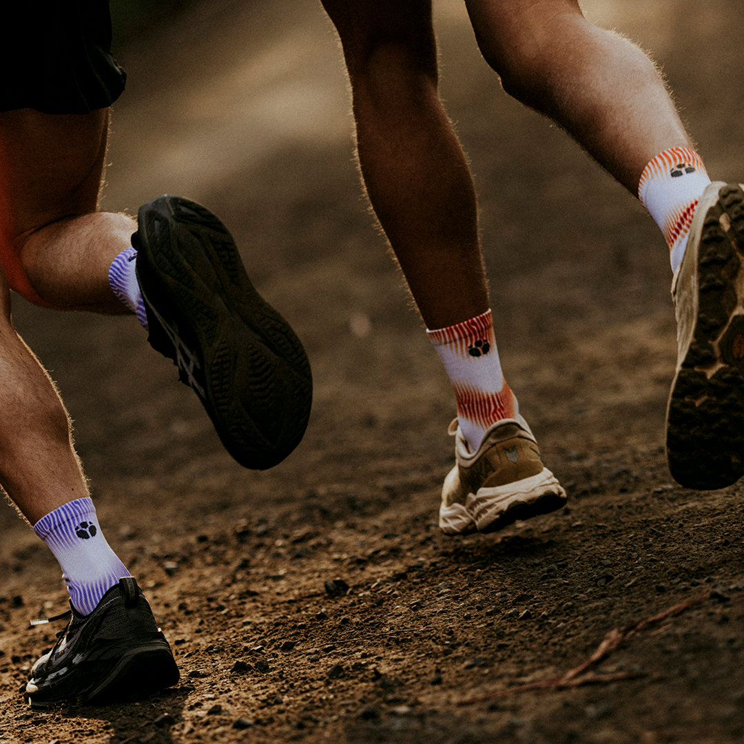 WHITE Performance Socks