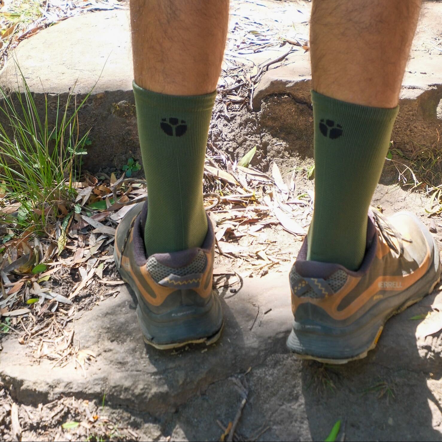 OLIVE Performance Socks