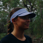 V-EXOPLANET Visor