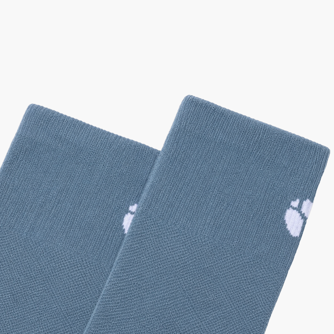 Fractel V-GAMBIER Sock, close-up