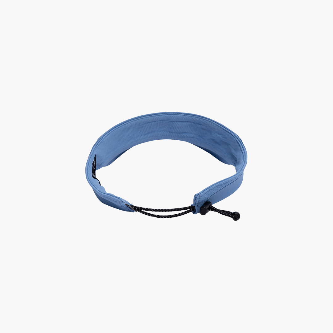 V-SECT Visor